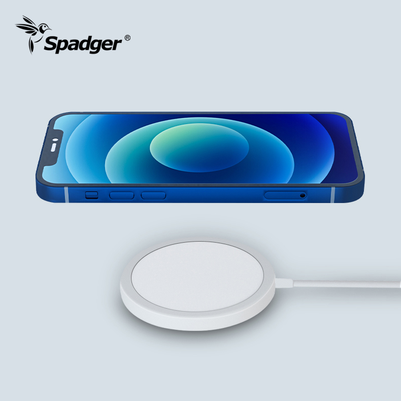 Magnetic Wireless Charger,Fast Wireless Charging Pad 1m Charging Cable with Type C Port Compatible with iPhone 12/12 mini/12 Pro/12 Pro Max,AirPods Pro